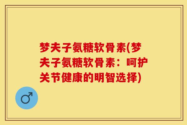 梦夫子氨糖软骨素(梦夫子氨糖软骨素：呵护关节健康的明智选择)