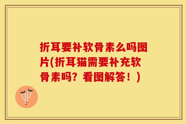 折耳要补软骨素么吗图片(折耳猫需要补充软骨素吗？看图解答！)