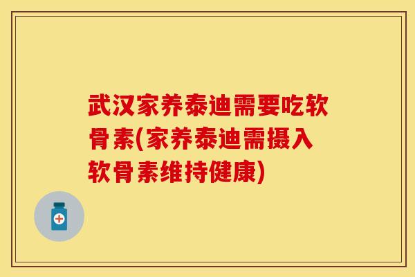 武汉家养泰迪需要吃软骨素(家养泰迪需摄入软骨素维持健康)