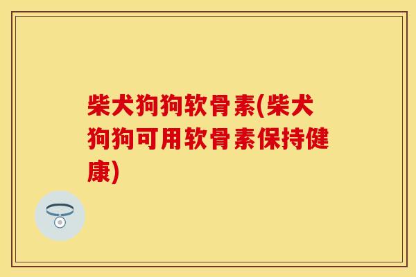 柴犬狗狗软骨素(柴犬狗狗可用软骨素保持健康)