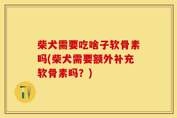 柴犬需要吃啥子软骨素吗(柴犬需要额外补充软骨素吗？)