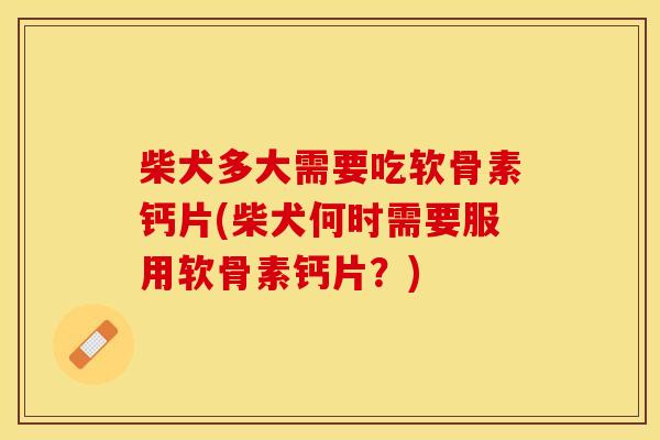 柴犬多大需要吃软骨素钙片(柴犬何时需要服用软骨素钙片？)