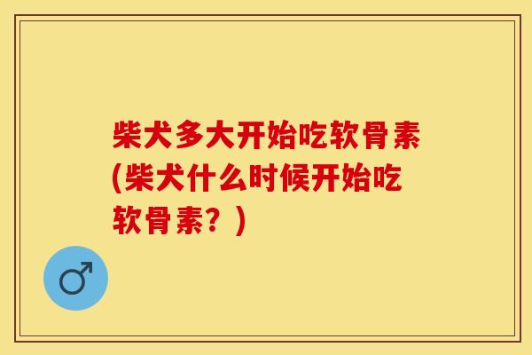 柴犬多大开始吃软骨素(柴犬什么时候开始吃软骨素？)