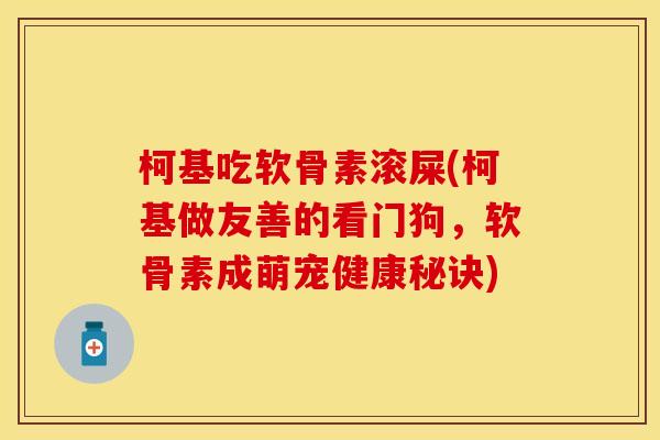 柯基吃软骨素滚屎(柯基做友善的看门狗,软骨素成萌宠健康秘诀) 柯基吃软骨素滚屎(柯基做友善的看门狗,软骨素成萌宠健康秘诀)