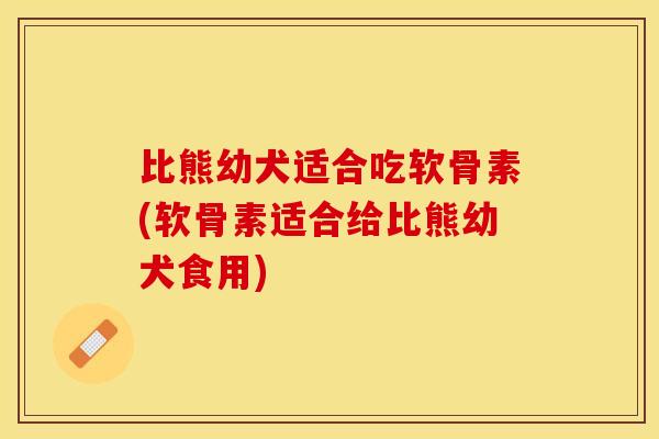 比熊幼犬适合吃软骨素(软骨素适合给比熊幼犬食用)