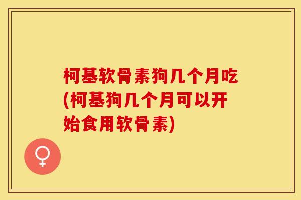 柯基软骨素狗几个月吃(柯基狗几个月可以开始食用软骨素)