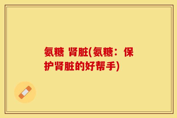 氨糖 肾脏(氨糖：保护肾脏的好帮手)