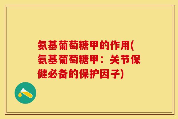 氨基葡萄糖甲的作用(氨基葡萄糖甲：关节保健必备的保护因子)