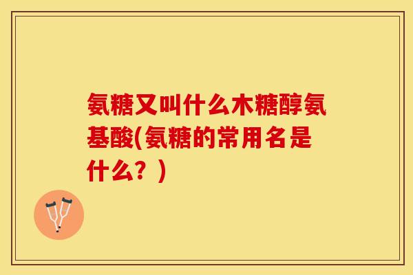 氨糖又叫什么木糖醇氨基酸(氨糖的常用名是什么？)