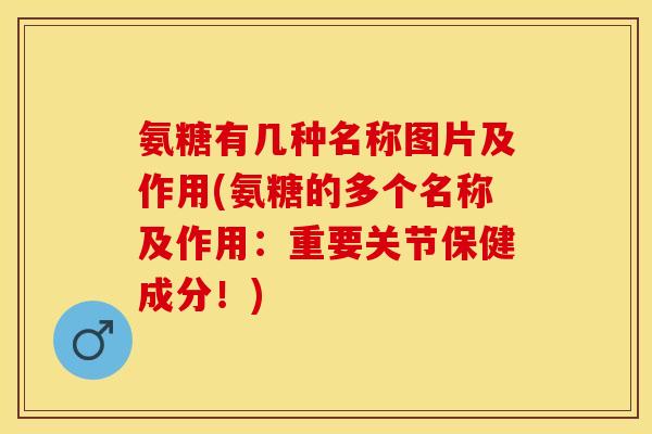 氨糖有几种名称图片及作用(氨糖的多个名称及作用：重要关节保健成分！)