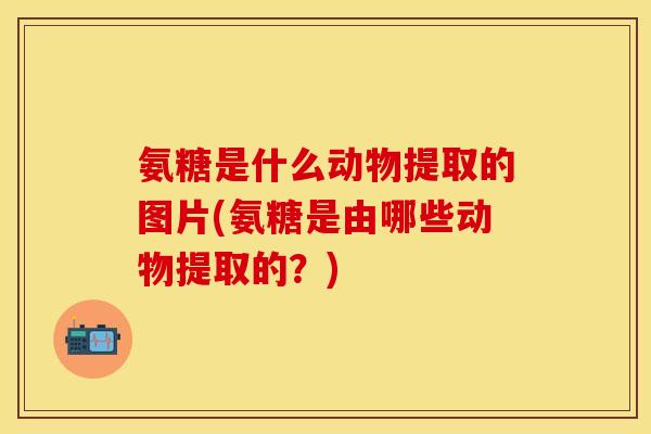 氨糖是什么动物提取的图片(氨糖是由哪些动物提取的？)