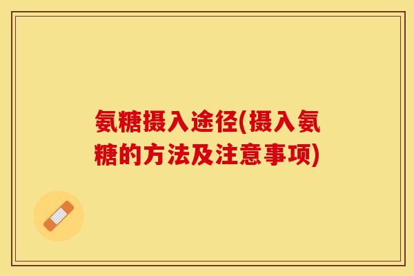 氨糖摄入途径(摄入氨糖的方法及注意事项)