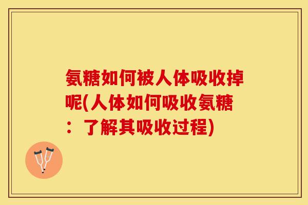 氨糖如何被人体吸收掉呢(人体如何吸收氨糖：了解其吸收过程)