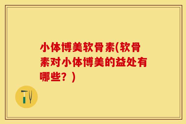 小体博美软骨素(软骨素对小体博美的益处有哪些？)