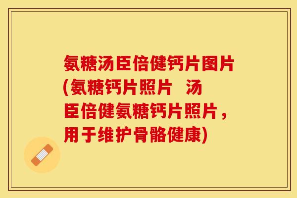 氨糖汤臣倍健钙片图片(氨糖钙片照片  汤臣倍健氨糖钙片照片，用于维护骨骼健康)