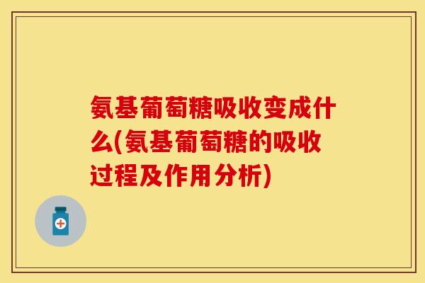 氨基葡萄糖吸收变成什么(氨基葡萄糖的吸收过程及作用分析)