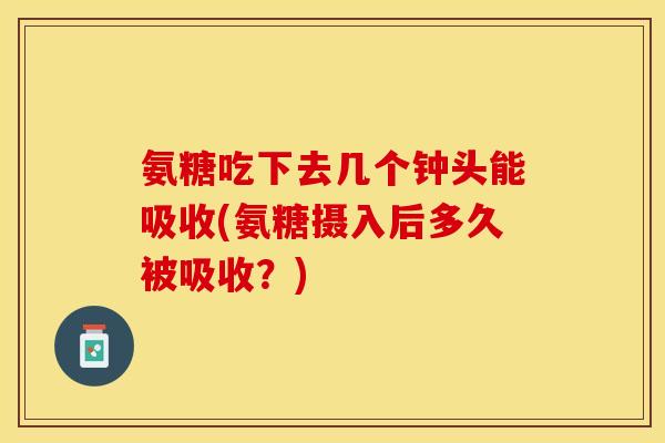 氨糖吃下去几个钟头能吸收(氨糖摄入后多久被吸收？)
