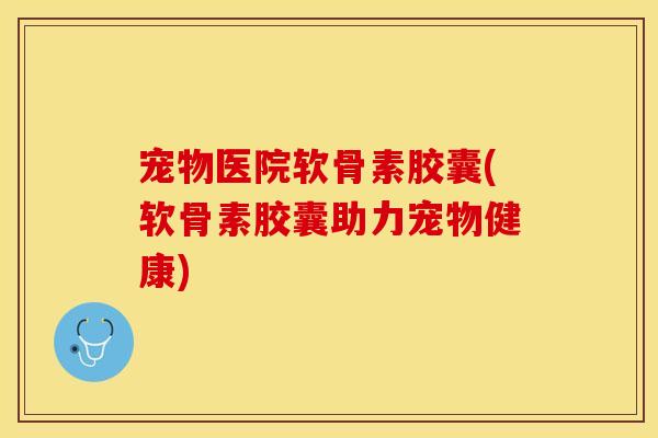 宠物医院软骨素胶囊(软骨素胶囊助力宠物健康)
