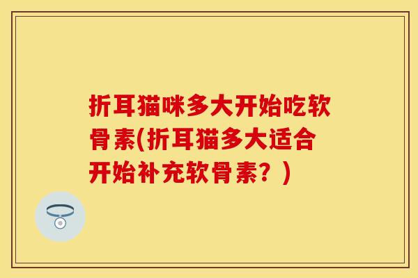 折耳猫咪多大开始吃软骨素(折耳猫多大适合开始补充软骨素？)