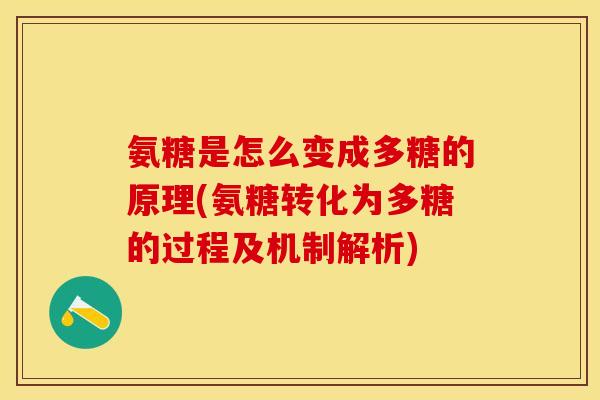 氨糖是怎么变成多糖的原理(氨糖转化为多糖的过程及机制解析)