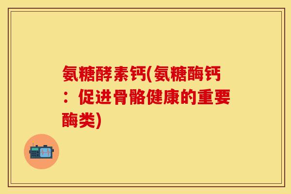 氨糖酵素钙(氨糖酶钙：促进骨骼健康的重要酶类)