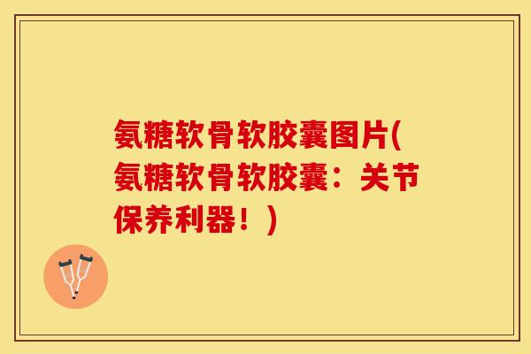 氨糖软骨软胶囊图片(氨糖软骨软胶囊:关节保养利器!) 氨糖软骨软胶囊图片(氨糖软骨软胶囊:关节保养利器!)