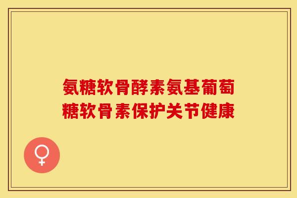 氨糖软骨酵素氨基葡萄糖软骨素保护关节健康