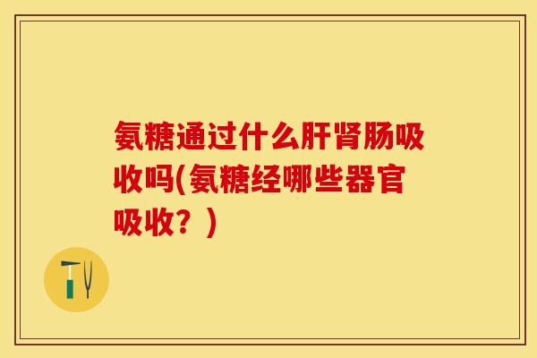 氨糖通过什么肝肾肠吸收吗(氨糖经哪些器官吸收？)