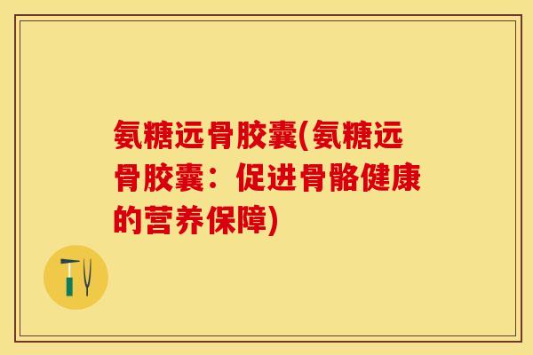 氨糖远骨胶囊(氨糖远骨胶囊：促进骨骼健康的营养保障)
