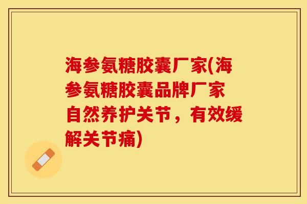 海参氨糖胶囊厂家(海参氨糖胶囊品牌厂家 自然养护关节，有效缓解关节痛)