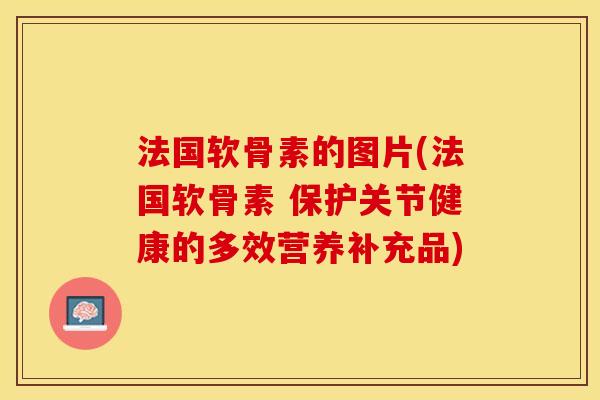 法国软骨素的图片(法国软骨素 保护关节健康的多效营养补充品)