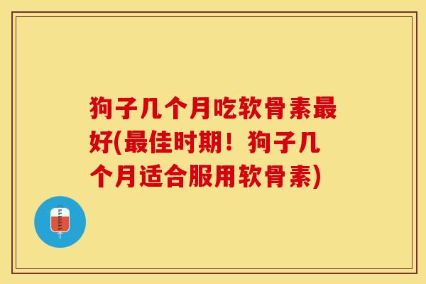 狗子几个月吃软骨素最好(最佳时期！狗子几个月适合服用软骨素)