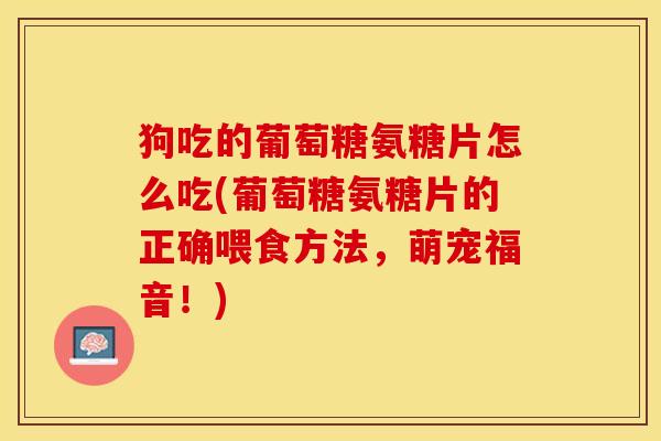 狗吃的葡萄糖氨糖片怎么吃(葡萄糖氨糖片的正确喂食方法，萌宠福音！)