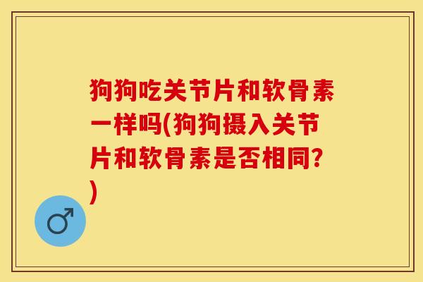 狗狗吃关节片和软骨素一样吗(狗狗摄入关节片和软骨素是否相同？)