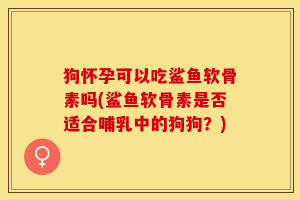 狗怀孕可以吃鲨鱼软骨素吗(鲨鱼软骨素是否适合哺乳中的狗狗？)