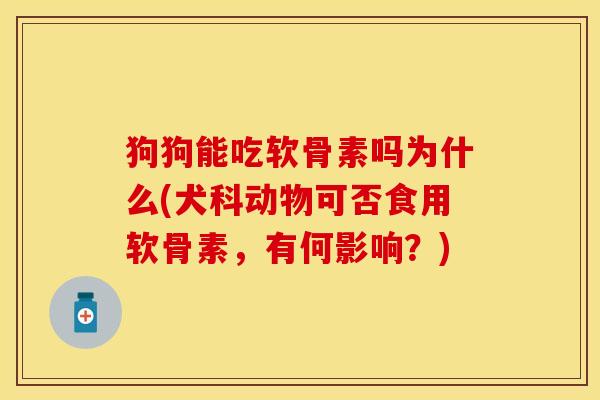 狗狗能吃软骨素吗为什么(犬科动物可否食用软骨素，有何影响？)