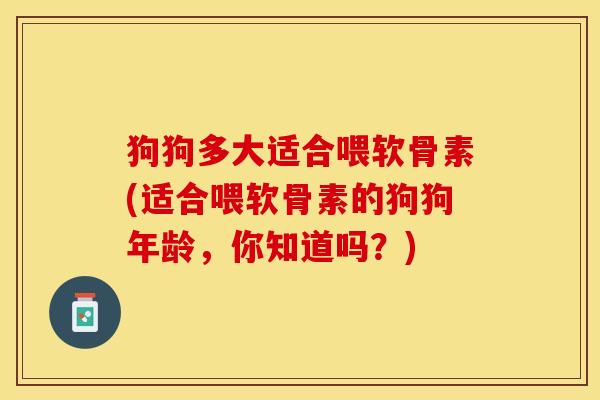狗狗多大适合喂软骨素(适合喂软骨素的狗狗年龄,你知道吗?) 狗狗多大适合喂软骨素(适合喂软骨素的狗狗年龄,你知道吗?)