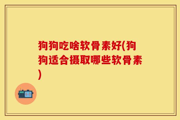 狗狗吃啥软骨素好(狗狗适合摄取哪些软骨素) 狗狗吃啥软骨素好(狗狗适合摄取哪些软骨素)