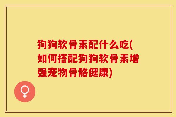狗狗软骨素配什么吃(如何搭配狗狗软骨素增强宠物骨骼健康)