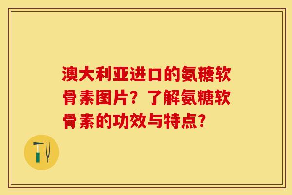 澳大利亚进口的氨糖软骨素图片？了解氨糖软骨素的功效与特点？