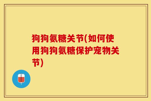 狗狗氨糖关节(如何使用狗狗氨糖保护宠物关节)