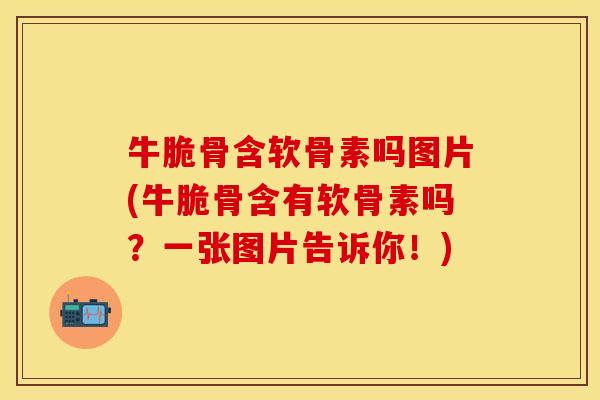 牛脆骨含软骨素吗图片(牛脆骨含有软骨素吗？一张图片告诉你！)