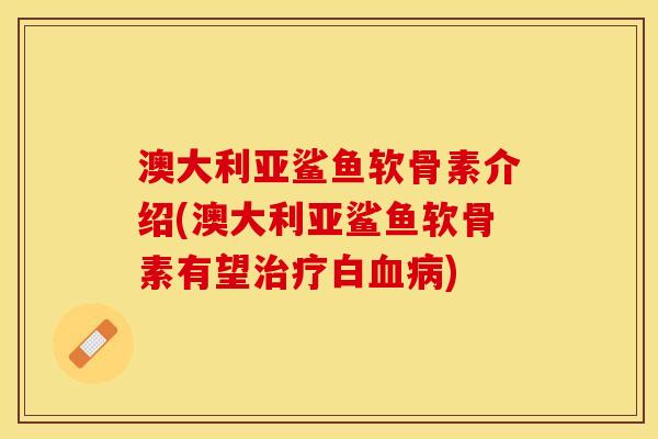 澳大利亚鲨鱼软骨素介绍(澳大利亚鲨鱼软骨素有望治疗白血病)