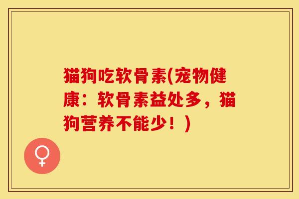 猫狗吃软骨素(宠物健康：软骨素益处多，猫狗营养不能少！)