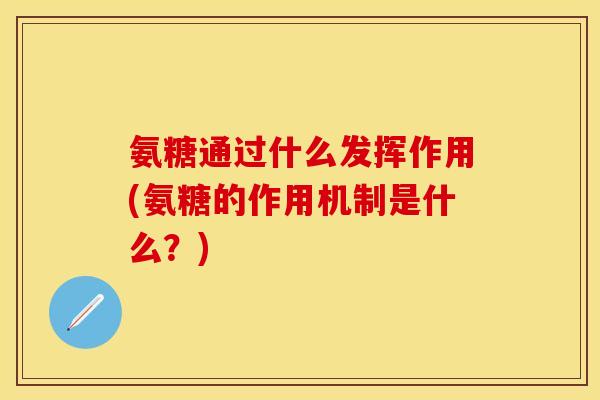 氨糖通过什么发挥作用(氨糖的作用机制是什么？)