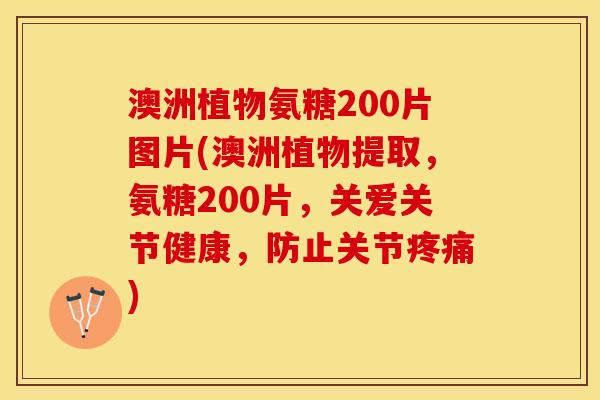 澳洲植物氨糖200片图片(澳洲植物提取，氨糖200片，关爱关节健康，防止关节疼痛)