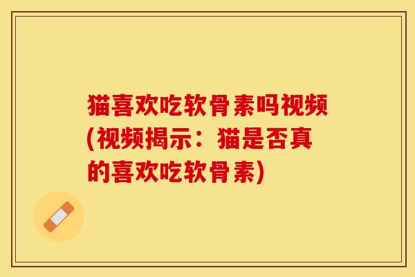 猫喜欢吃软骨素吗视频(视频揭示：猫是否真的喜欢吃软骨素)