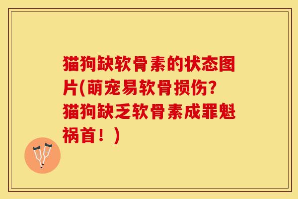 猫狗缺软骨素的状态图片(萌宠易软骨损伤？猫狗缺乏软骨素成罪魁祸首！)