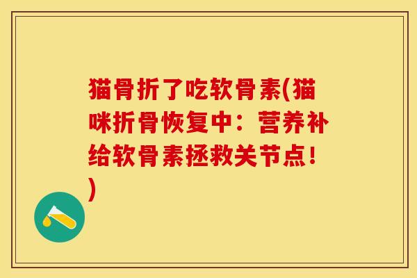 猫骨折了吃软骨素(猫咪折骨恢复中：营养补给软骨素拯救关节点！)