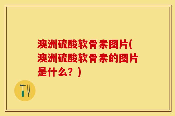 澳洲硫酸软骨素图片(澳洲硫酸软骨素的图片是什么？)